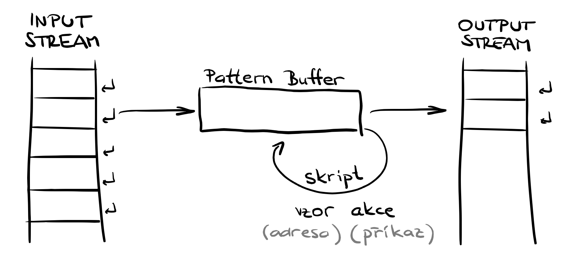 sed overview